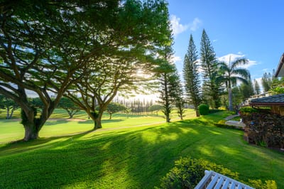 Kapalua mornings come with quiet fairways, stretching shadows, and that hush only a perfect morning can carry
