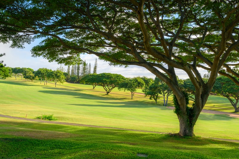 Nature tees up something special here—this Kapalua view is a visual exhale in every direction you look KGV-14P6
