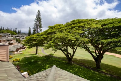 This is where nature frames your day—towering trees, manicured greens, and a sky that feels infinite and welcoming KGV-14V3