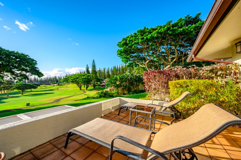 The day starts slow here—sunlight creeps across the patio and everything feels just a little more golden