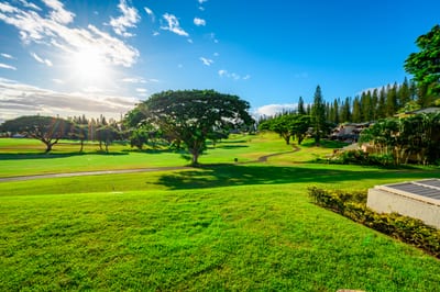 Golden light stretches across the Kapalua fairway, where mornings begin with stillness, sunshine, and soft island breeze KGV-16P3