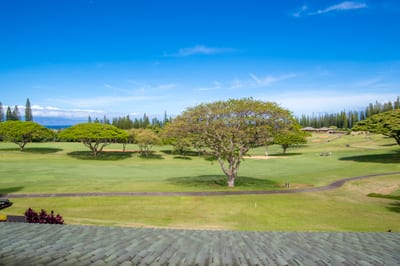 Endless greens, ocean blue, and island skies—this view isn’t just scenic, it’s soul-soothing KGV-16T4