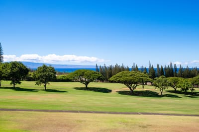 Watch golfers drift by as soft breezes stir the pines—a setting made for quiet reflection and lasting memories KGV-17T5