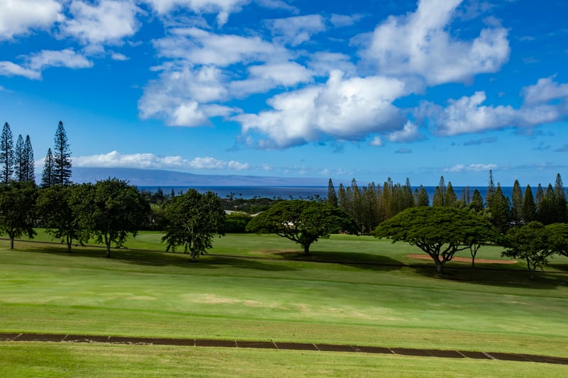 Where fairways meet the sea and pine trees reach the sky, this view feels like a lullaby sung by the island itself KGV-17V3