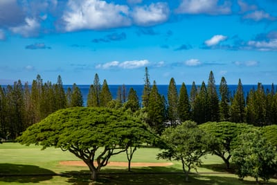 Every inch of this view whispers aloha—tales of sea breezes, island spirits, and dreams that drift like clouds