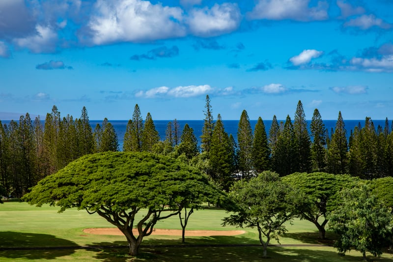 Every inch of this view whispers aloha—tales of sea breezes, island spirits, and dreams that drift like clouds KGV-17V3