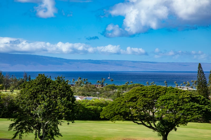Sailboats on the horizon, palm trees in the breeze, and fairways below—Kapalua views don’t get better than this