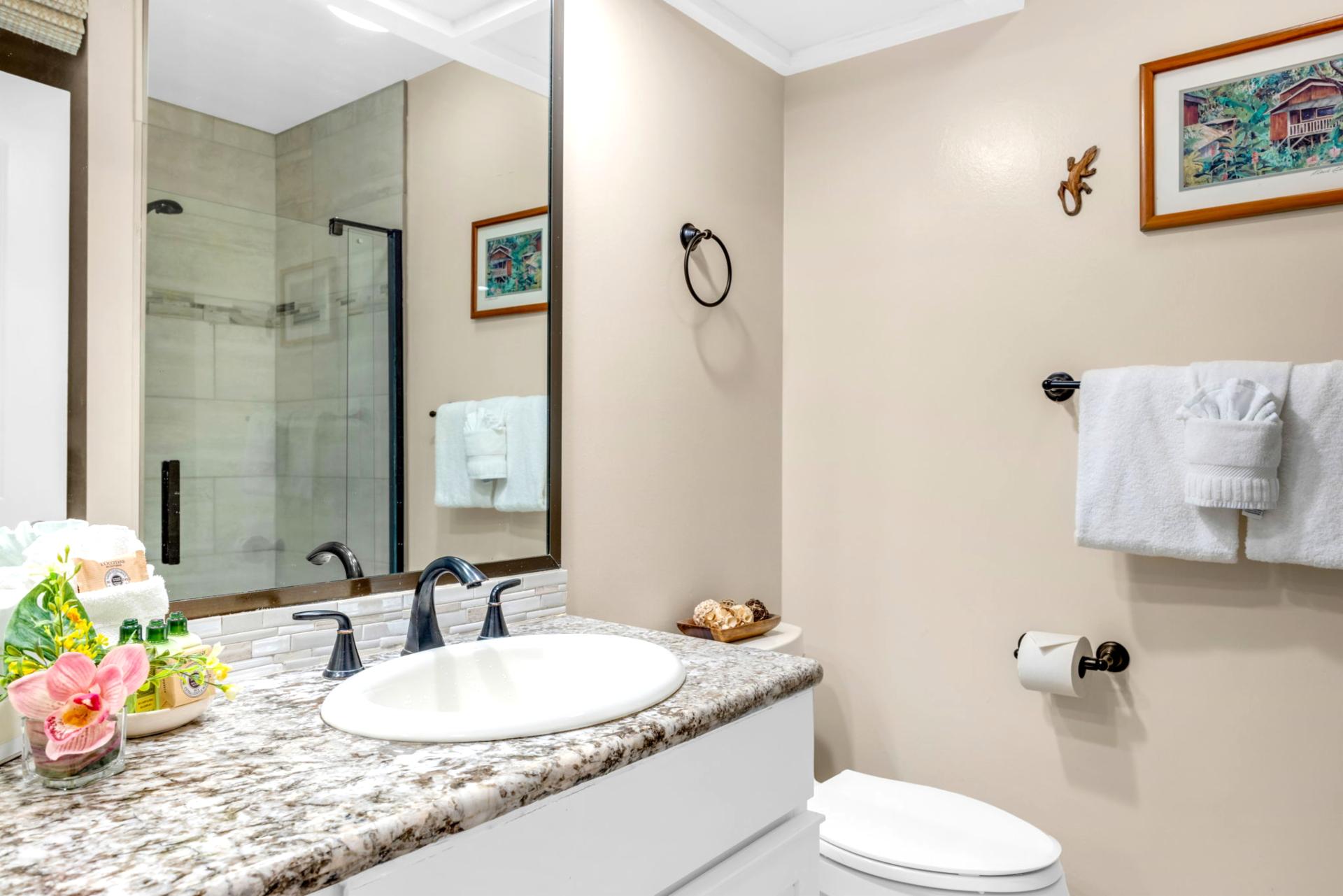 Guest bathroom with glass walk-in shower and granite vanity for added comfort and privacy.