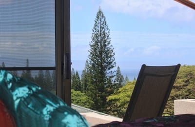 In this home, every window told a story—of quiet mornings, soft breezes, and a world slowed down