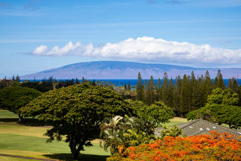 Enjoy a serene oceanfront view framed by lush greenery and rolling fairways. KGV-20T8