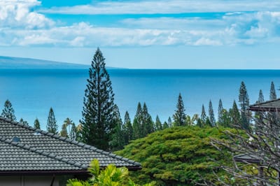 This view? 100% island magic. Palms, pines, and Pacific perfection all in one frame
KGV-21P2
