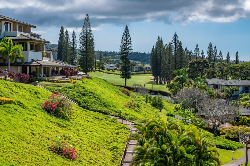 Wake up to a symphony of color—vivid greenery, bright blooms, and the sparkling Pacific stretching out below you