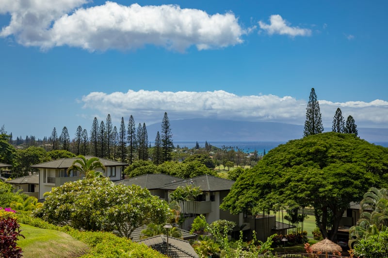Every morning, this view reawakens wonder—layered trees, vibrant greens, and the rhythm of life moving quietly     KGV-22P2