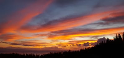 End your day wrapped in a masterpiece—fiery skies, silhouetted palms, and the golden hush of Maui’s unforgettable twilight