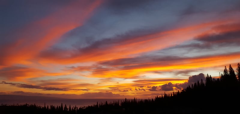 End your day wrapped in a masterpiece—fiery skies, silhouetted palms, and the golden hush of Maui’s unforgettable twilight