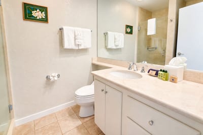 The second bathroom's glass-enclosed shower and vanity come stocked with fresh towels and toiletries.