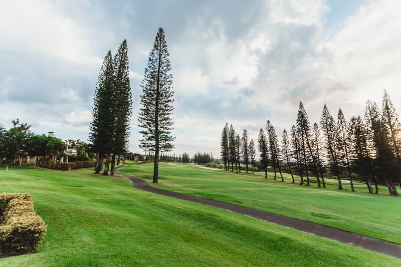 Embrace serenity as you overlook manicured golf course views framed by island pines—steps from your private lanai at sunset    