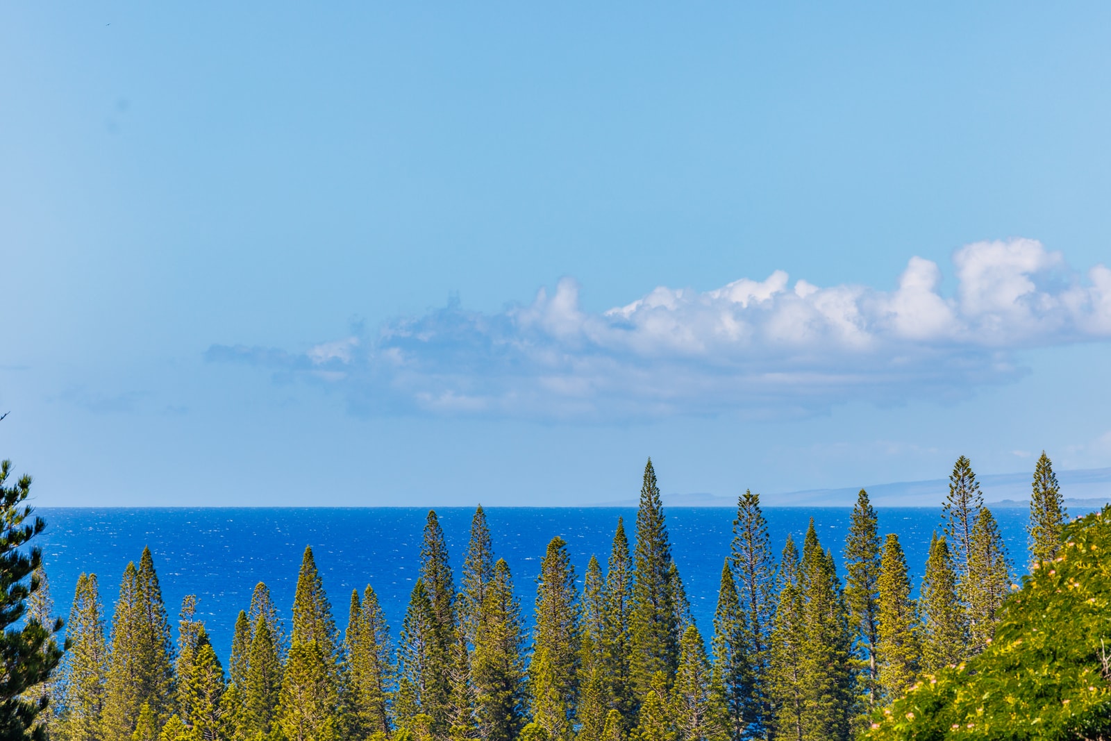 Enjoy elevated ocean views framed by tall pines and lush island greenery. KGV-24P7
