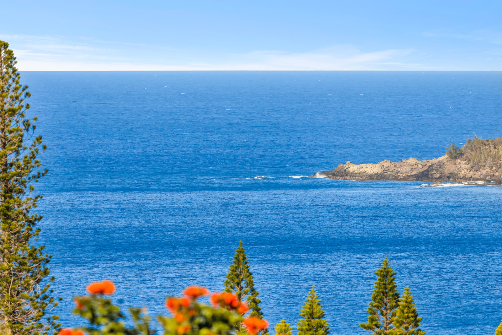 Wake up to swaying palms and sparkling ocean views
