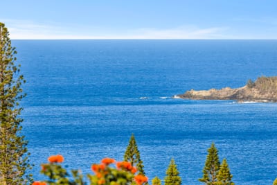 Wake up to swaying palms and sparkling ocean views