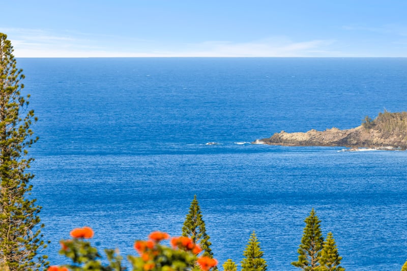 Wake up to swaying palms and sparkling ocean views