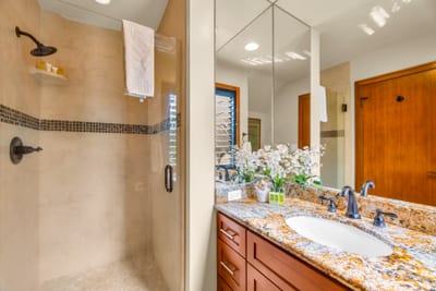 The guest bath features a walk in shower for convenience