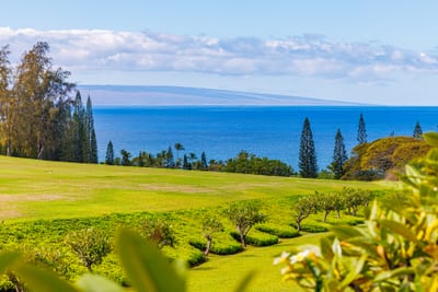 Enjoy peaceful green views and peekaboo ocean glimpses just beyond the trees.