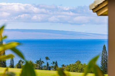 Framed by palms and sky, your partial ocean view offers a daily dose of island calm.