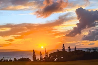 Watch the sun dip into the Pacific from Kapalua Ridge Villas, with palm silhouettes and island views making each evening feel cinematic. KRV-2314