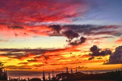 Golden hour lights up the sky in fiery tones over the ocean, with palm trees and pines framing the unforgettable Kapalua sunset view. KRV-2314