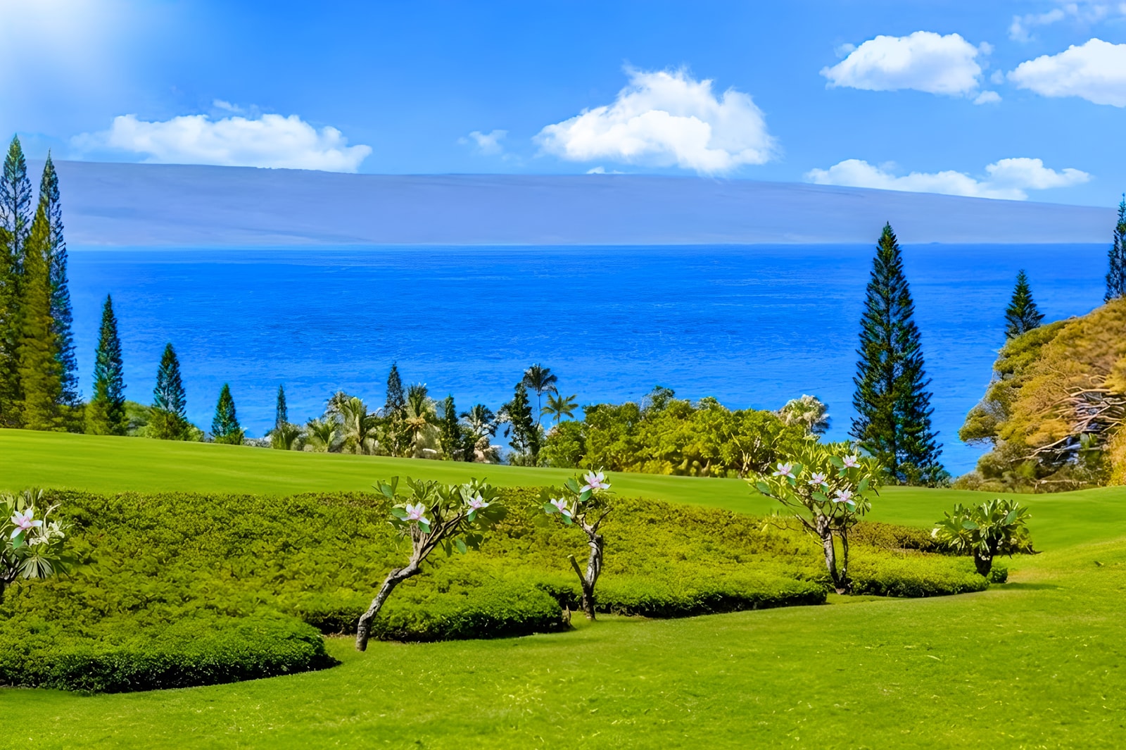 Paradise in every direction, lush greens, golden fairways, and the endless blue of the Pacific.