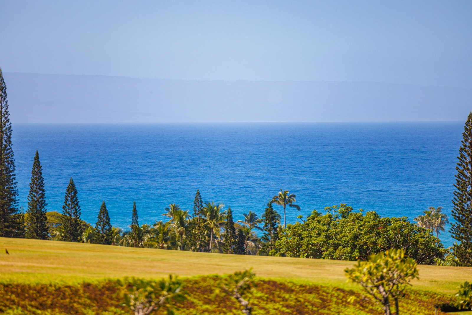 Take in stunning ocean views just beyond the property