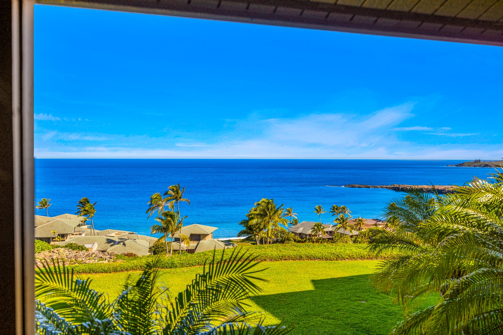 Take in palm-lined coastline views and blue water stretching toward the horizon from your balcony.