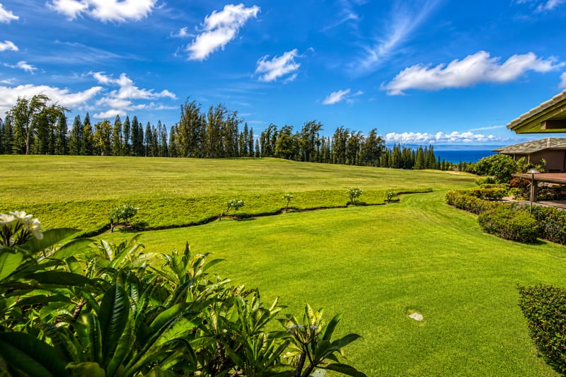 Manicured fairways rolling toward the blue Pacific horizon