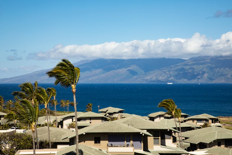 Swaying palms, ocean breeze, and island rooftops beneath mountain backdrop.