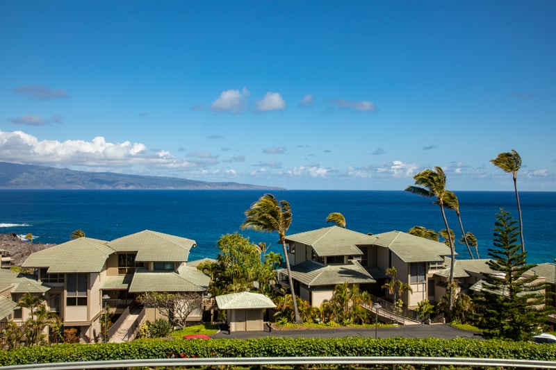 Oceanfront paradise with island rooftops and swaying palms under sunshine.