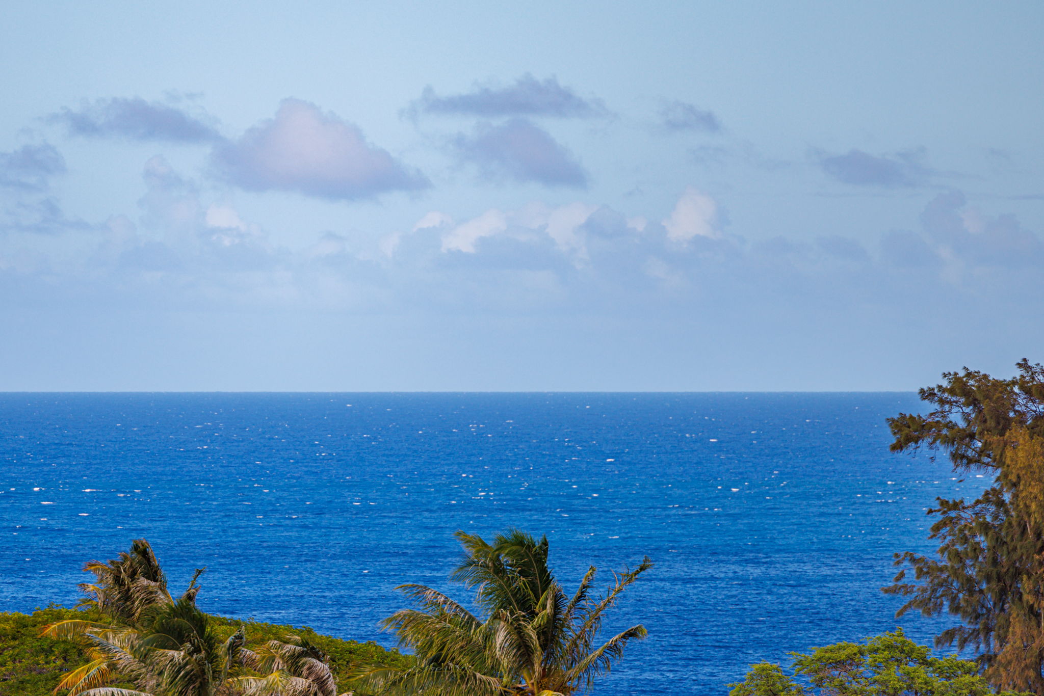 Stunning wide ocean vista beyond the treetops, you can enjoy from your lanai.