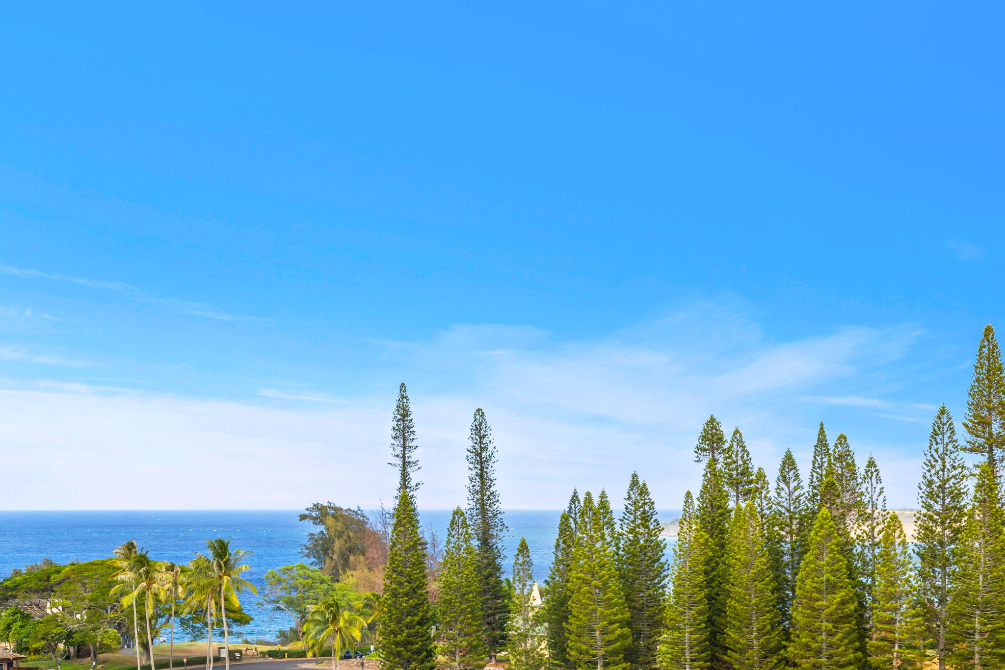 Enjoy tranquil mountain views framed by greenery from your private lanai.
