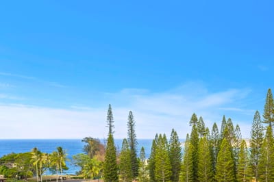 Enjoy tranquil mountain views framed by greenery from your private lanai.