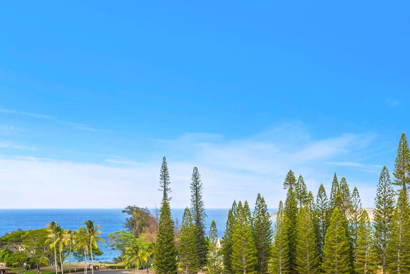 Enjoy tranquil mountain views framed by greenery from your private lanai.