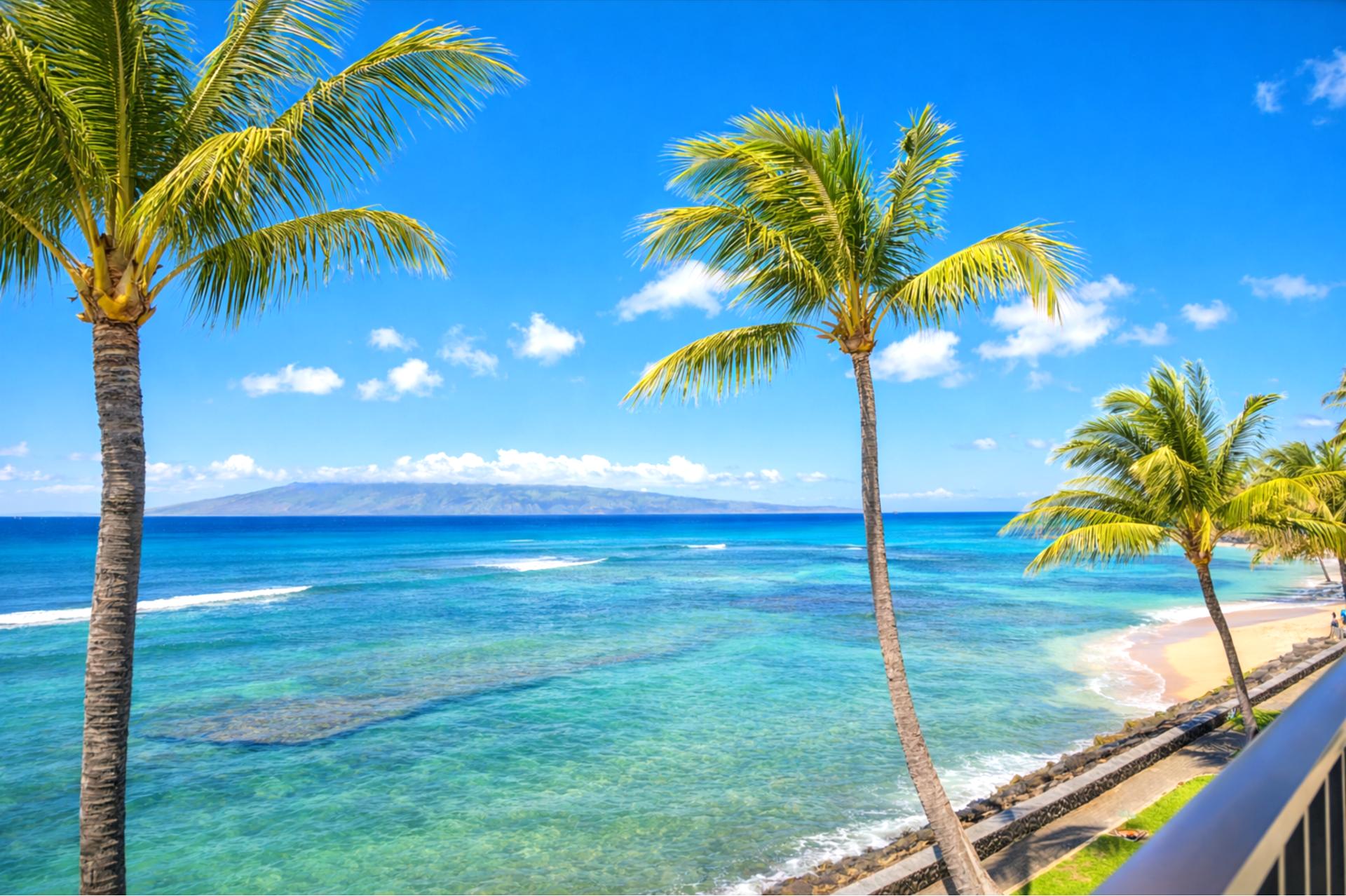 Palm trees frame your direct oceanfront view, where turquoise water stretches beyond your private stretch of lawn.