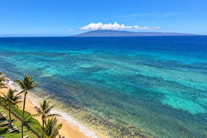 Elevated view of turquoise water, sandy beach, and palm trees along the shoreline MAH-1002