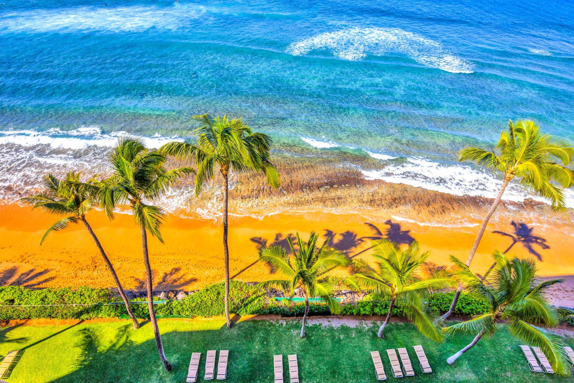 Soak up sweeping Pacific views from Mahana 1006, where the shoreline and blue horizon steal the show.