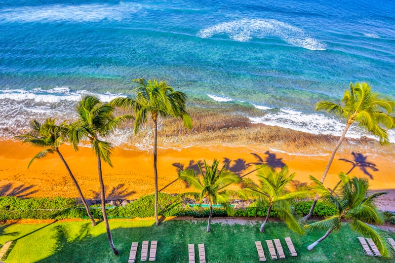 Soak up sweeping Pacific views from Mahana 1006, where the shoreline and blue horizon steal the show.