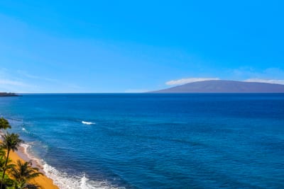 From this vantage point, the Pacific looks endless, a postcard view you can savor any time of day.