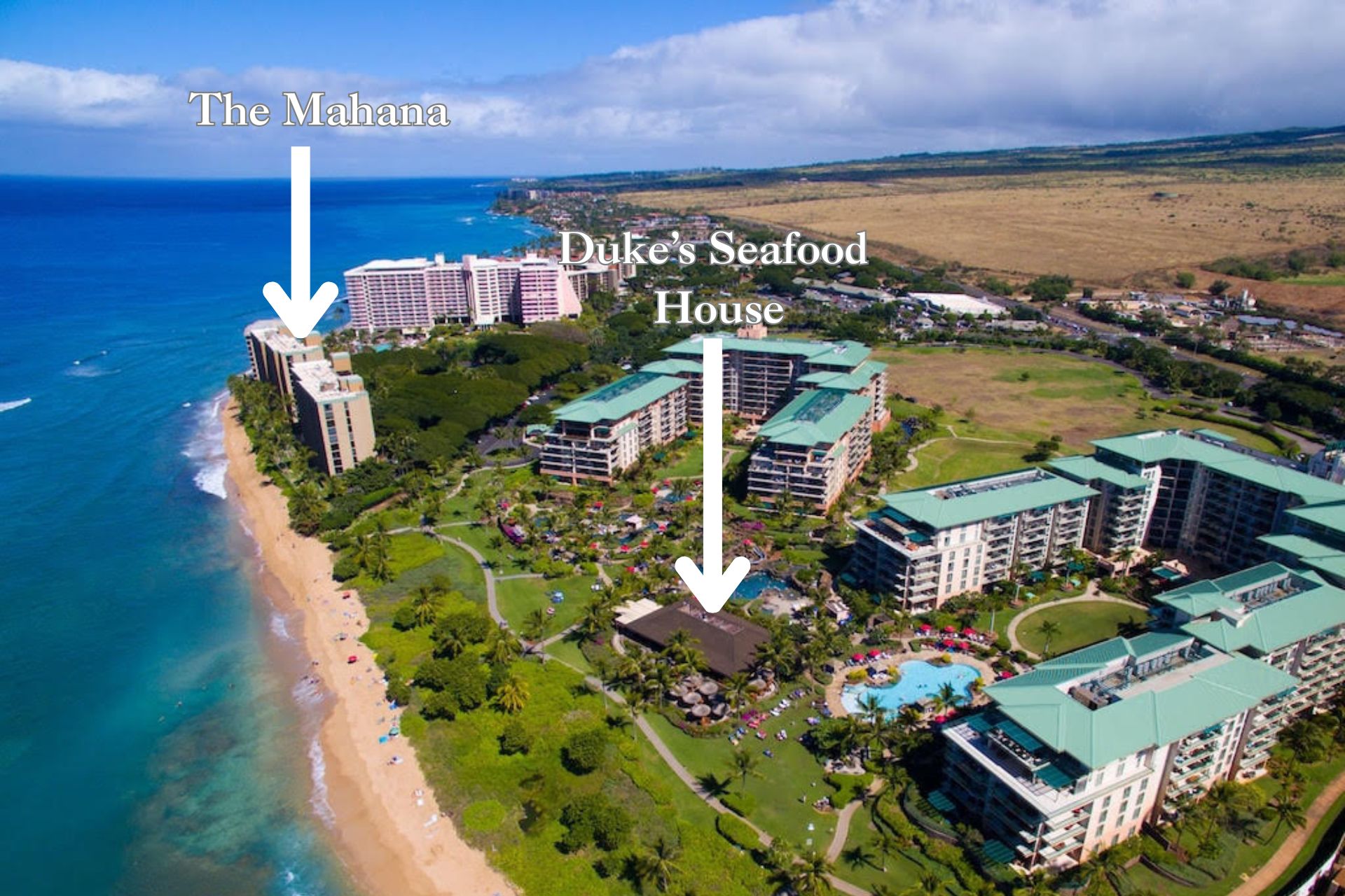 Just a short walk away is the famous Duke's Seafood House! MAH-109