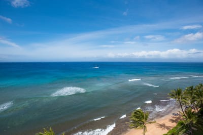 Let the island stretch before you like a dream—layered in blue, kissed by waves, and framed by dancing palms