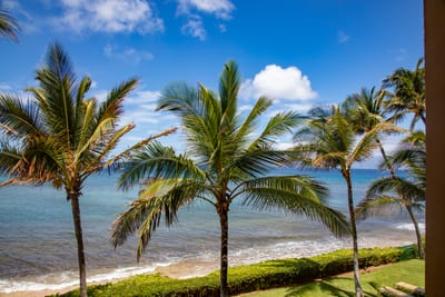 The palms gossip in the breeze, the ocean hums a lullaby, and your only job is to sip, sway, and stay a while MAH-301