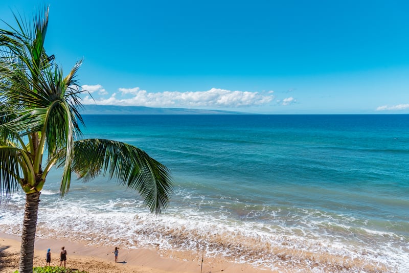 From your lanai, watch palm trees sway in rhythm with the waves as sapphire seas stretch endlessly to the horizon MAH-419
