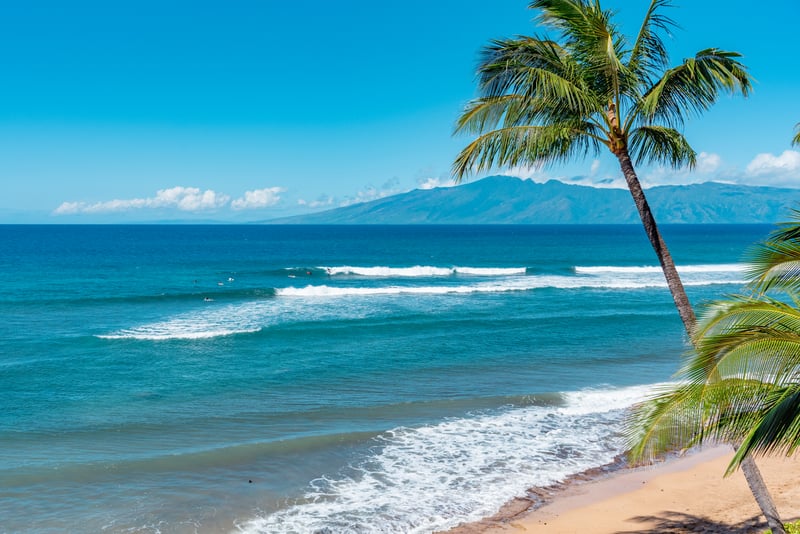 Surfs up! The beach is just steps away from your unit